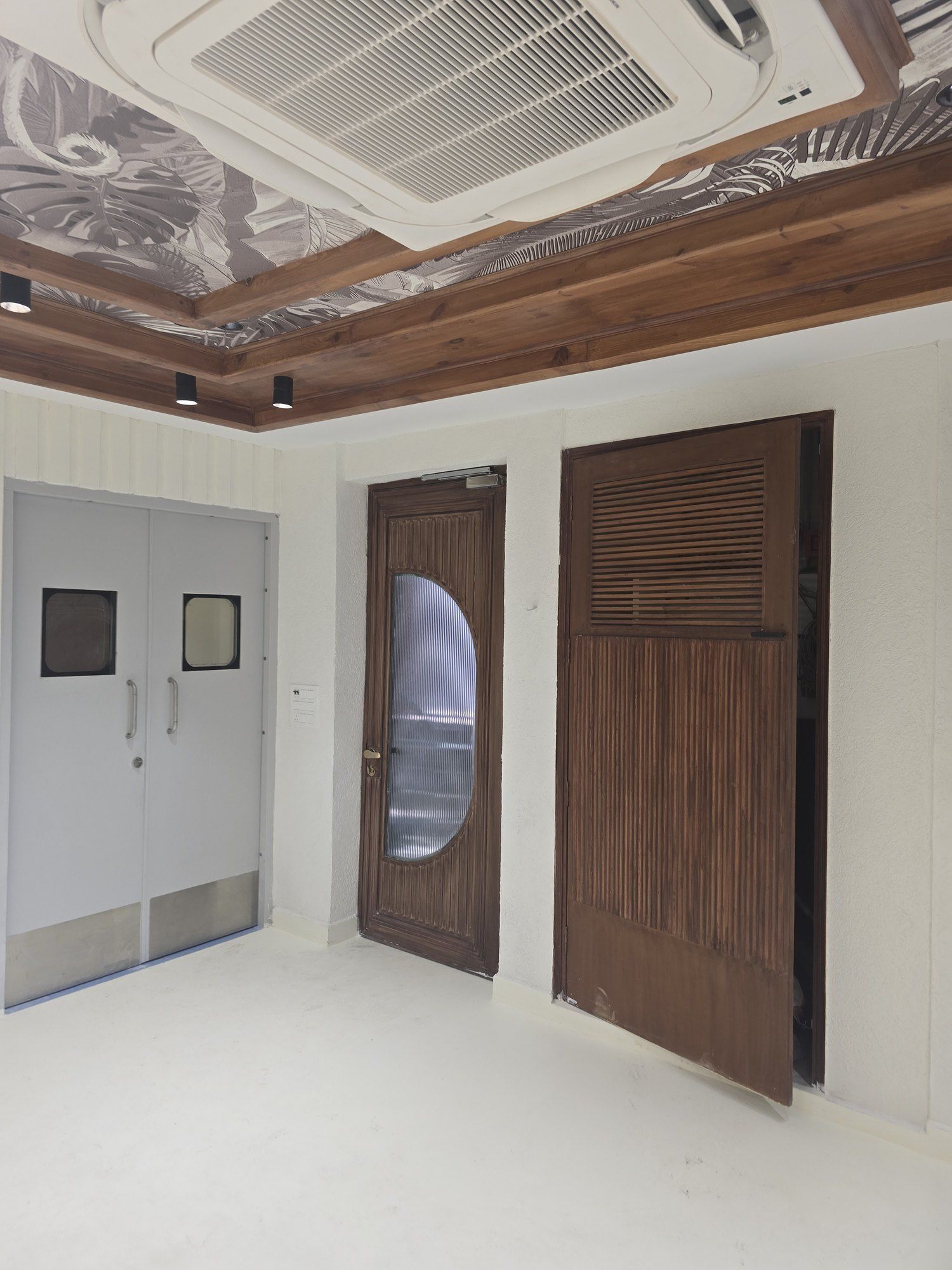 Stainless steel hospital doors beside a timber door with a porthole window